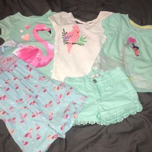 5 piece (Bird) lot